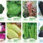 12 Seeds Very Black Tomato Seeds Kiwi Organic Pawpaw Vegetables Herbs