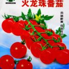 300 Seeds Heirloom 'Fire Dragon Ball' Bright Red Truss Cherry Tomato Organic