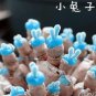 30 Seeds Blue Dicrocaulon Ramulosum Incredible Succulent Plant