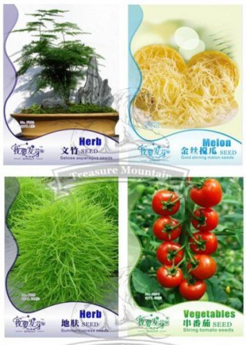 12 Seeds Asparagus Fern GOLDEN STRING PUMPKIN Long White Eggplants Tomato
