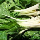 50 Seeds Green Swiss Chard