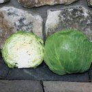 55 Seeds Green Cabbage Seeds