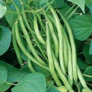 30g Seeds String Bean Non-GMO Dwarf Beans