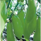 30 Seeds Green 'Banana' Tomato Seeds, Heirloom Tasty Tomato Vegetables