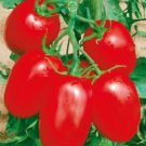 20 Seeds Milky Red Cherry Tomato, Edible Organic Fruits