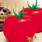 20 Seeds Big Red Tomato, Organic Edible Tasty Tomato
