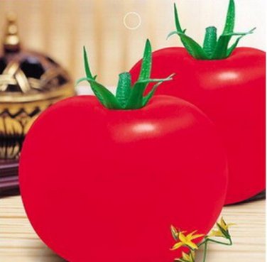 20 Seeds Big Red Tomato, Organic Edible Tasty Tomato