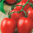 400 Seeds 'Ox Horn' Rare Tomato