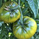 20 Seeds Rare Middle Green Tomato with Red Top Organic