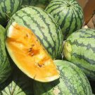 20 Seeds Yellow Skin Yellow Inside Sweet Round Watermelon 'Wu Feng' Organic