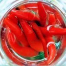 300 Seeds Sichuan Red Pickled Chili
