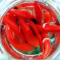 300 Seeds Sichuan Red Pickled Chili