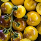 300 Seeds Rare Bumble Bee Heirloom Tomato