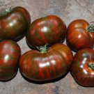 100 Seeds Heirloom Big Chocolate Stripes Tomato Hybrid Seeds