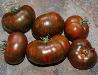100 Seeds Heirloom Big Chocolate Stripes Tomato Hybrid Seeds
