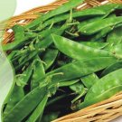 10 Seeds Organic Snow Peas Seeds Sweet Green Vegetable Peas