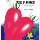 300 Seeds American Pink Long Tomato Organic Seeds