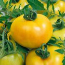 300 Seeds Golden Tomato with Green Stripe F2 Tomato