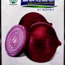 1000 Seeds Rare Allium Cepa Purple Round Onions Vegetables Seeds