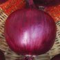 1000 Seeds Rare Allium Cepa Purple Round Onions Vegetables Seeds