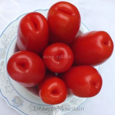100 Seeds Super Rare Red AURIA Tomato Seeds