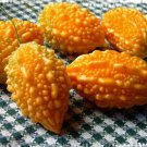 8 Seeds Seto Melon Balsampear Vegetable