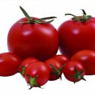 100 Seeds 'Honglian' Small Big Mixed Dark Red Tomato Hybrid F1 Tomato Seeds