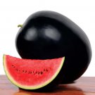 8 Seeds Black Long Sweet Watermelon (less seeds)