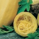 12 Seeds Watkins Melon Stir