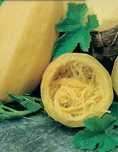 12 Seeds Watkins Melon Stir