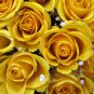 50 Seeds 'Euro Tri' Yellow Rose Shrub Flower