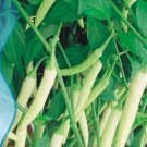 20 Seeds White Hot Chili Pepper Seed Non-gmo Organic Heirloom Vegetables