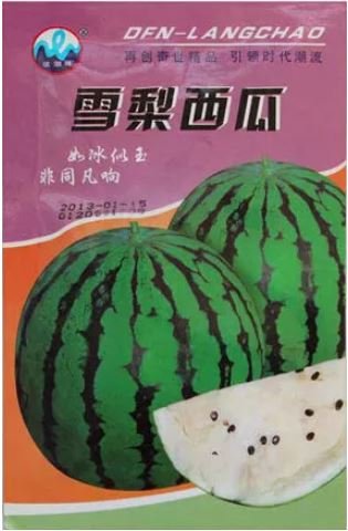 10 Seeds Snow Pear Water Melon Seeds White Inside Green Skin Black Stripe