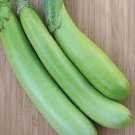 10 Seeds Taiwan Green Long Eggplant F1 Seeds NON-GMO Heirloom Green Vegetables