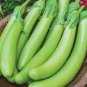 10 Seeds Taiwan Green Long Eggplant F1 Seeds NON-GMO Heirloom Green Vegetables