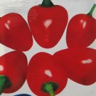 500 Seeds Red Pickled Bubble Hot Chili Peppers