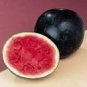 8 Seeds Long Big Black Skin Pink Watermelon Fruit Seeds