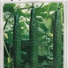 25 Seeds Dark Green Cucumber Seeds, High Yield