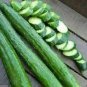25 Seeds Dark Green Cucumber Seeds, High Yield