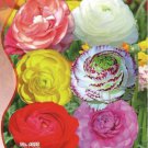 25 Seeds Mixed Ranunculus Asiaticus Beautiful Persian Buttercup Plants