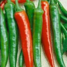 5 Seeds Jintai jin Jiao 1.0 Red Pod Pepper Chili Vegetable Seeds