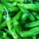 4000 Seeds Rare Giant Green American Cayenne Pepper Organic Seeds
