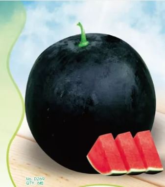 6 Seeds Heirloom Black Round Red Seedless Watermelon Seeds