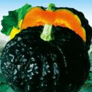 8 Seeds Rare Japanese Black Pumpkin Organic Non-gmo Heirloom Vegetables