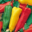 500 Seeds Discoloring Sharp Chili Hot Sichuan Pickled Pepper from White to Orange to Red