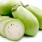 60 Seeds Eggplant Little Green Vegetable Seeds