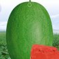 6 Seeds Watermelon Light Green Stripe Red Inside Fruit Seeds