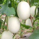 200 Seeds Sweet Melon Hybrid Oval Fruit Seeds