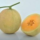 10 Seeds Heirloom Super Big Elizabeth Orange Yellow Sweet Melon Hybrid