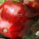 10 Seeds Black Krim Giant Tomato Organic Seeds